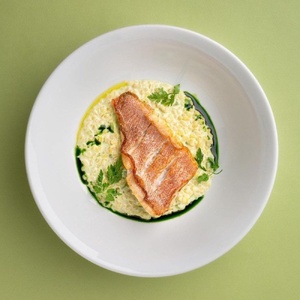 Pike perch with potato cream, mushroom demi-glace and champignons