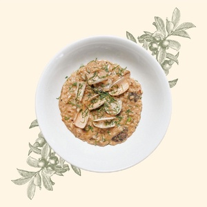 Risotto with forest mushrooms